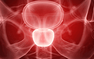 Prostatricum Plus Produktbild 3